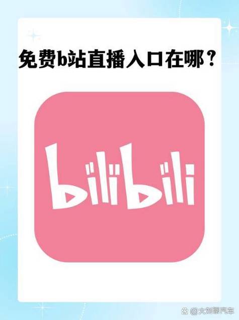无需付费看直播b站的网站正版