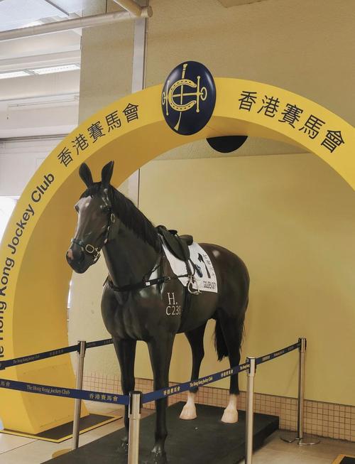 路路发香港赛马最新版彩色游戏截图