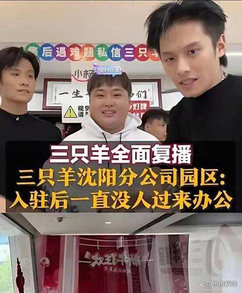 三只羊在哪个平台直播