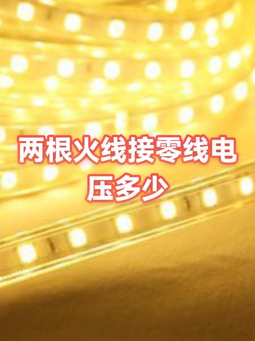两根线接火线和零线
