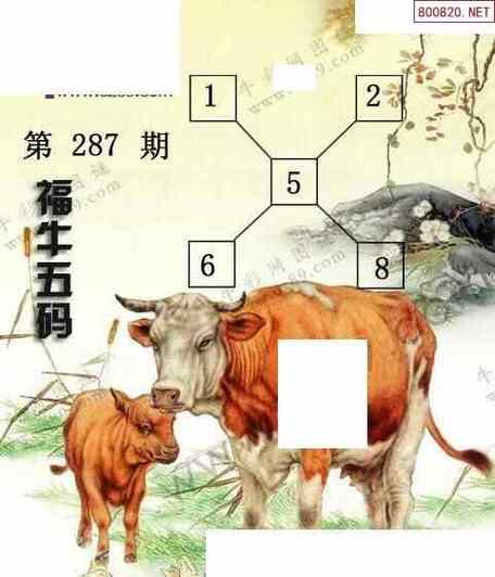 福代表哪个生肖