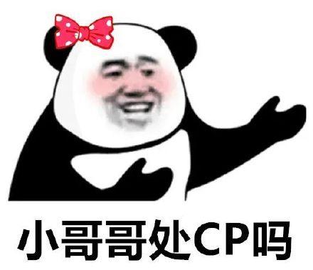 处cp的含义截图