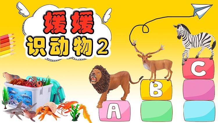 媛媛识恐龙
