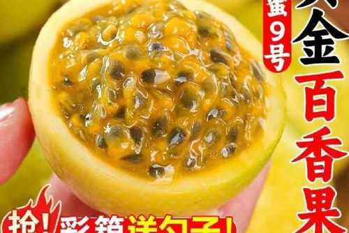 海南黄金果是什么水果