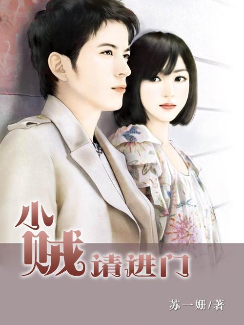 小贼请进门全文阅读截图