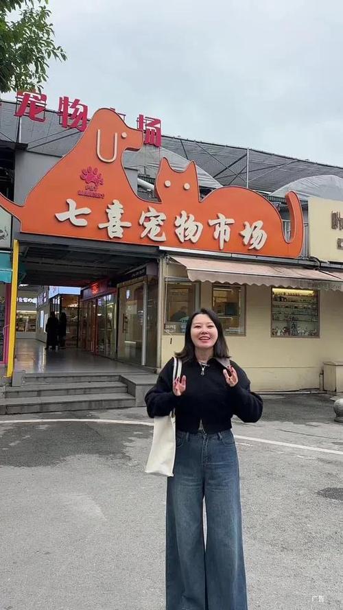 重庆十大宠物交易市场游戏截图