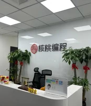 核桃编程2699和3299什么区别