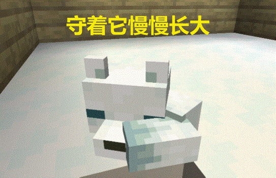 我的世界雪狐怎么养