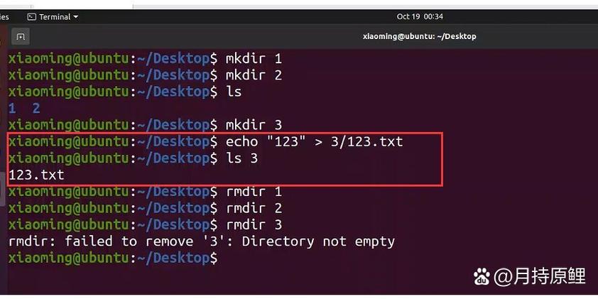 ubuntu修改文件所有者