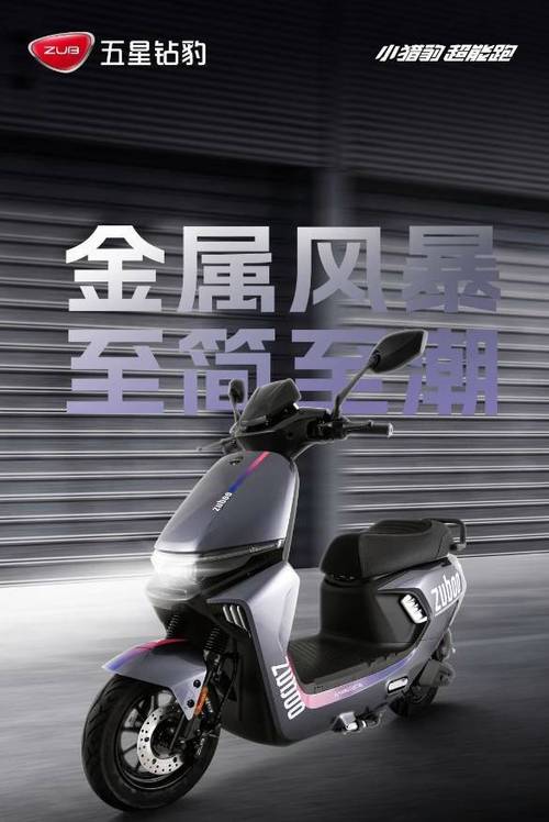 钻豹出行app官方正版下载