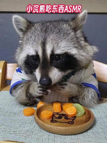 小浣熊喜欢吃什么食物
