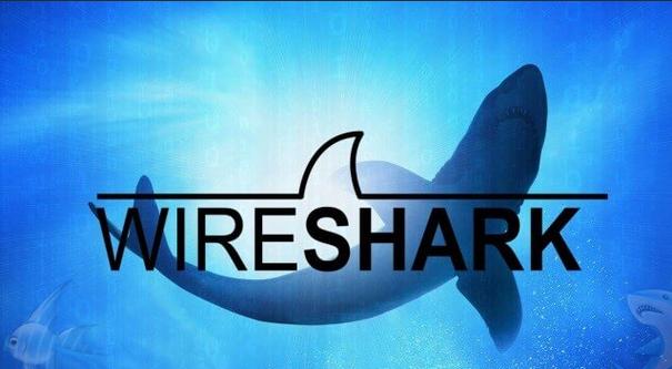 wireshark32位下载截图