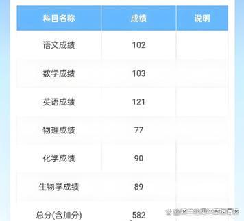 2025年高会考试成绩查询入口