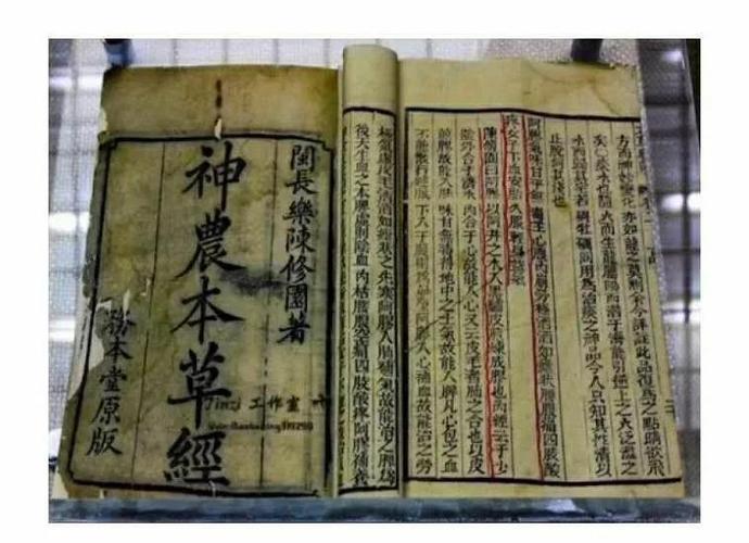 本草纲目起源