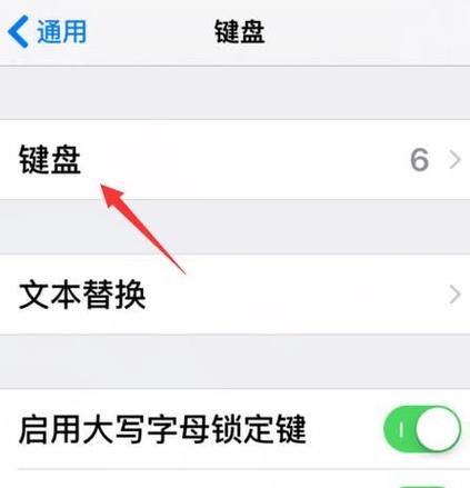 苹果手机输入法切换不出来