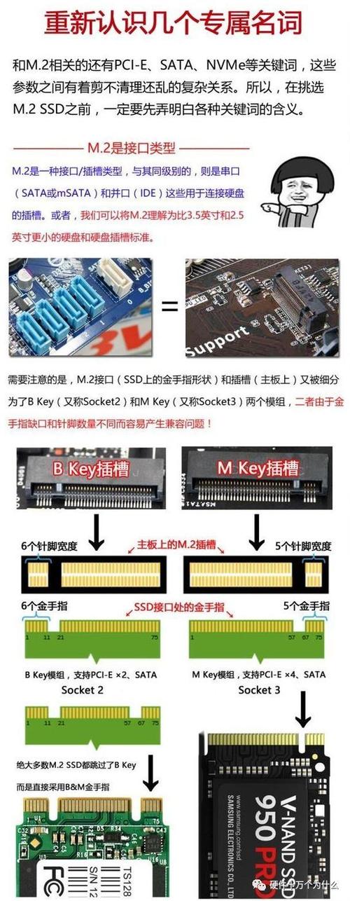 17年的主板找不到m2接口图标
