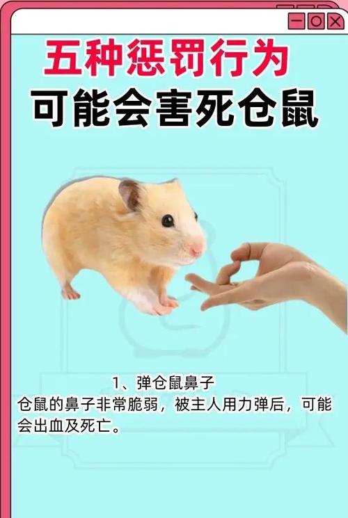 仓鼠咬人怎么惩罚他