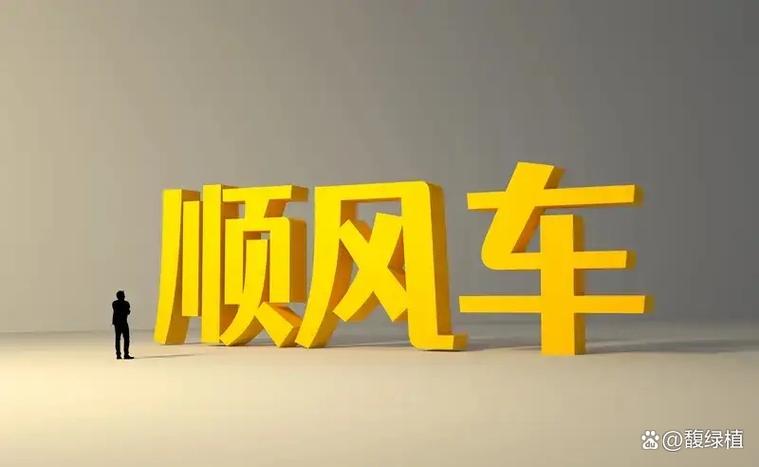顺风车打便车