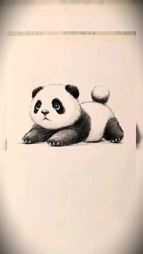 画熊猫视频截图