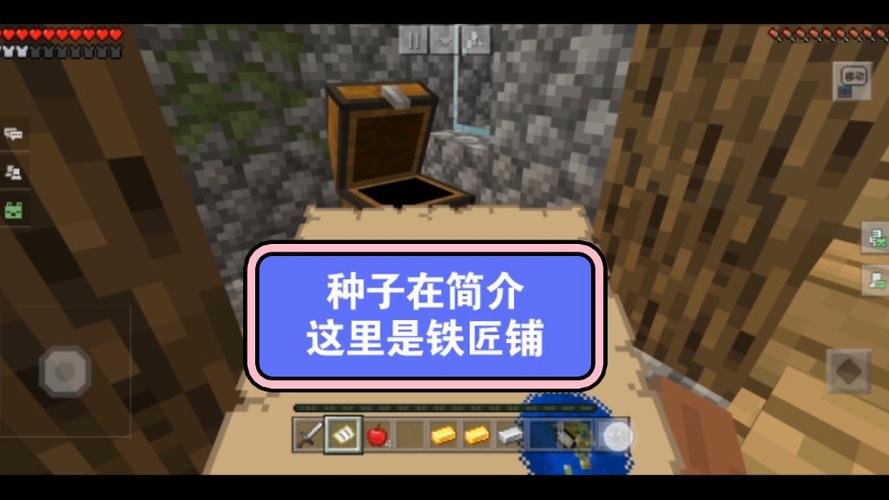 mc好种子大全