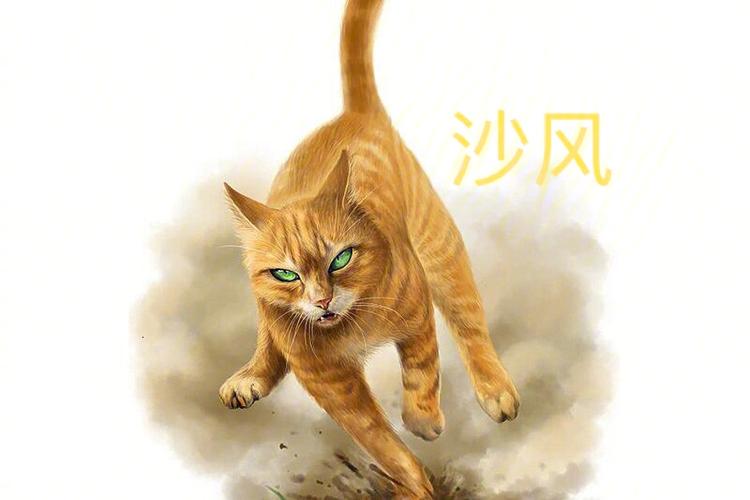 叶池死时松鸦羽的反应