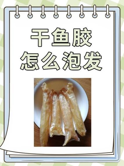 鱼胶怎么保存