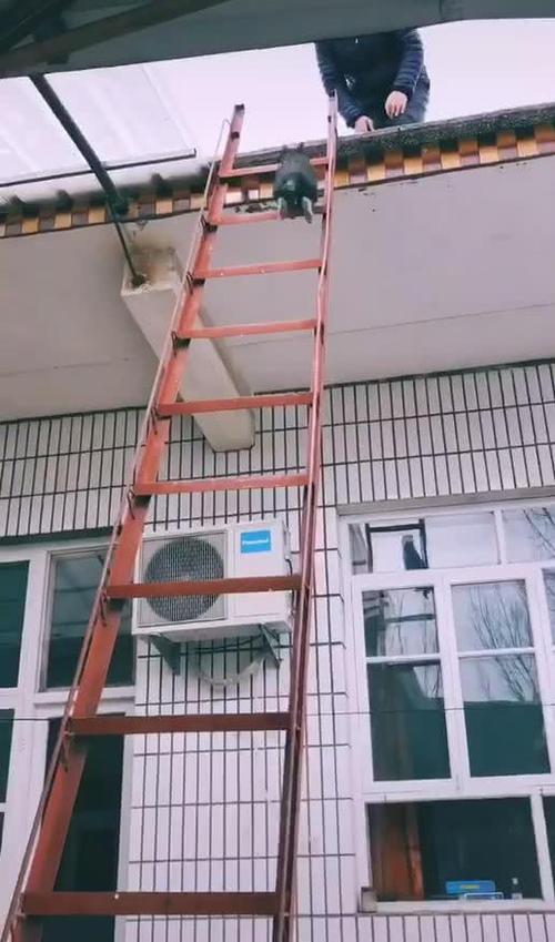 上房的梯子