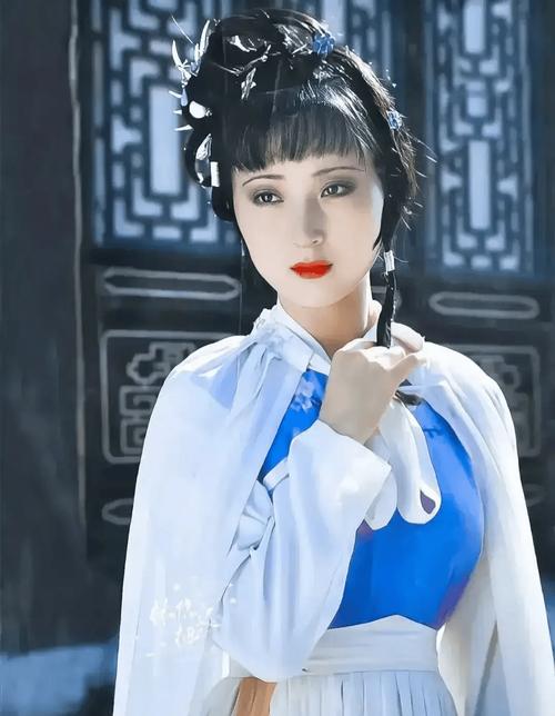 红楼之林如海继室夫人