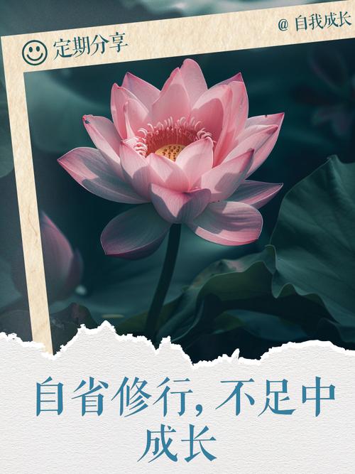 闲鱼购买的二手怎么保修