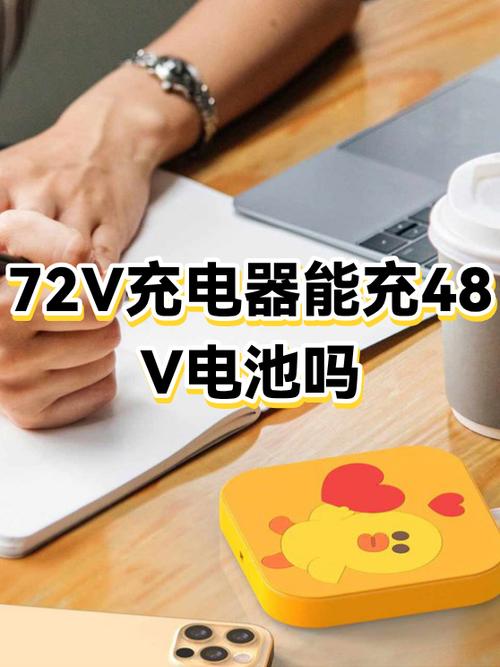 手机充电器可以借给别人充吗