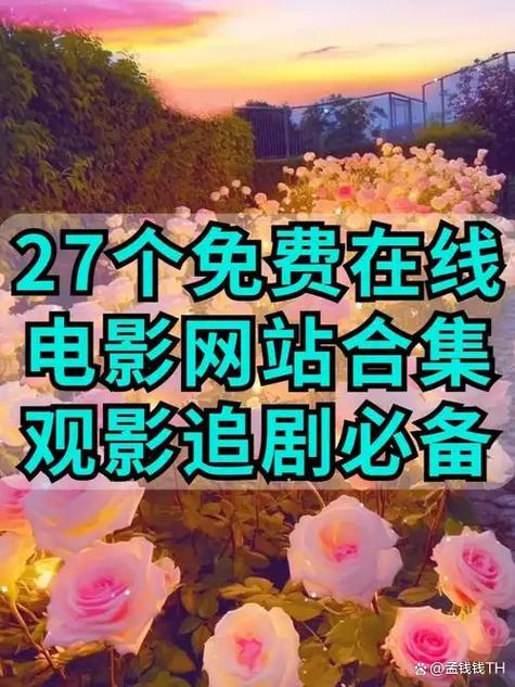 315电影免费观看图标