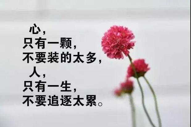 人生感悟的经典句子图标