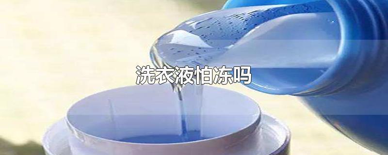 洗衣液能冻坏吗