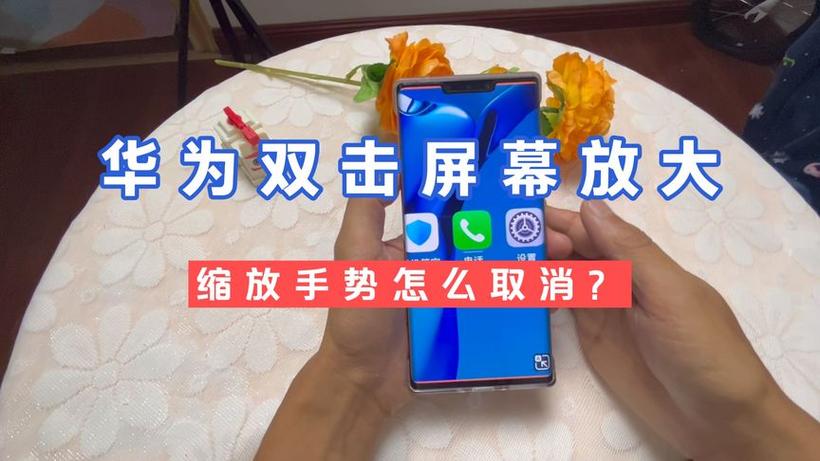 双击放大在哪关闭图标