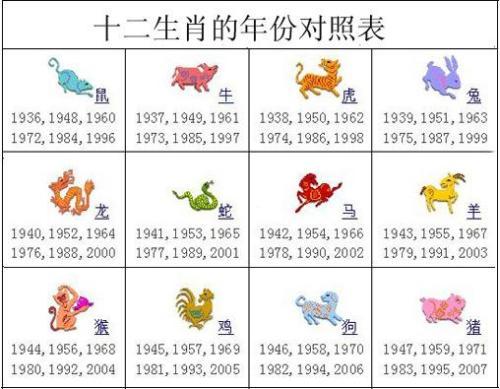 属鼠的今年有多大了