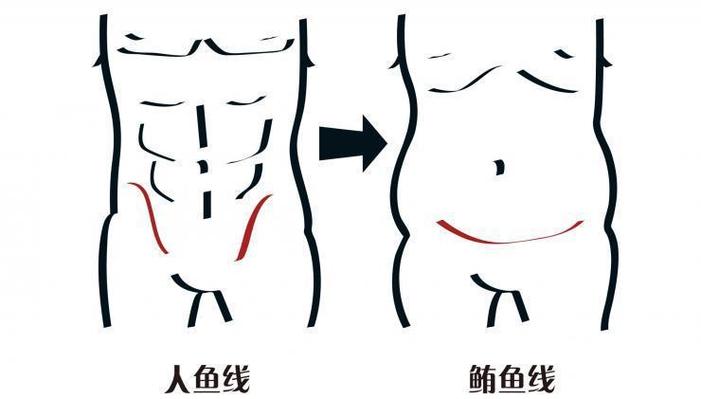 人鱼线为什么叫人鱼线图标