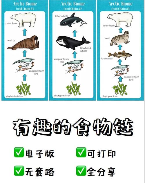 站在食物链顶端的男人好看吗图标