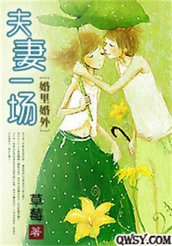 夫妻一场小说免费阅读