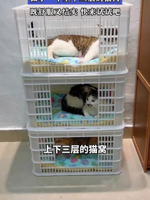 自制猫窝截图