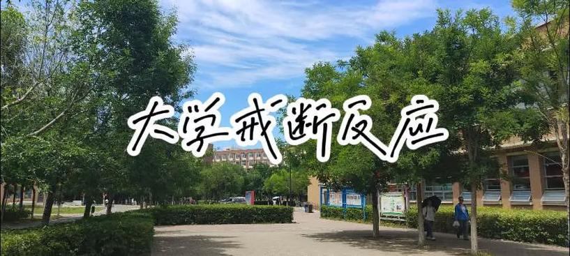 不玩抖音后整个人都变了