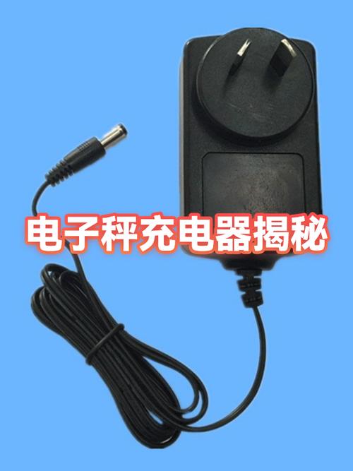 电子秤插着充电器可以开机吗图标