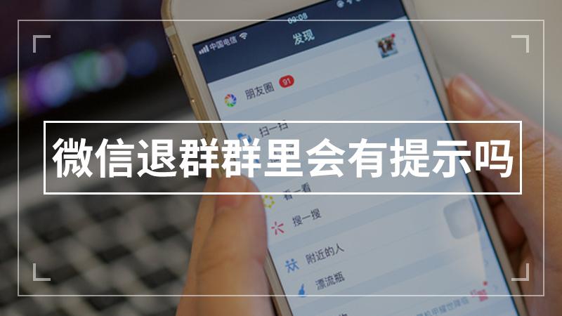 vx退群了有提示吗截图