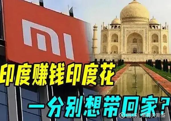 麦芽数据是哪个网贷公司
