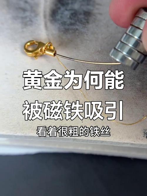 吸金子的磁铁缩略图