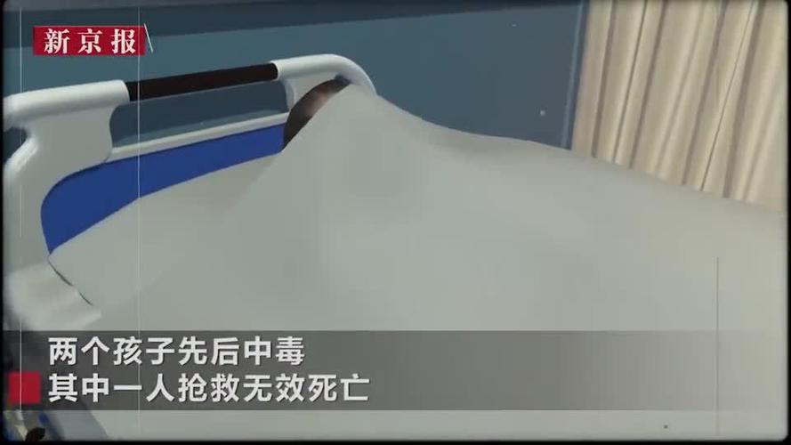 群星蜂巢思维特质怎么选