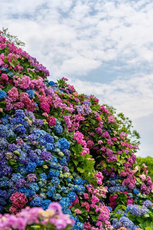 花花世界之
