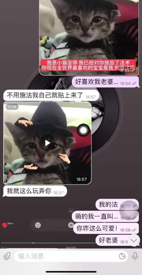 喜欢你的人突然晒老婆截图