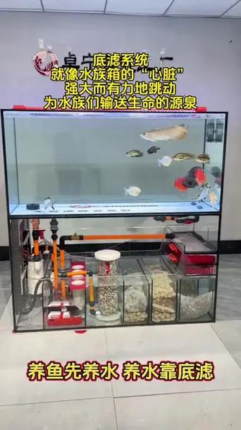 自制鱼缸水循环过滤系统图标