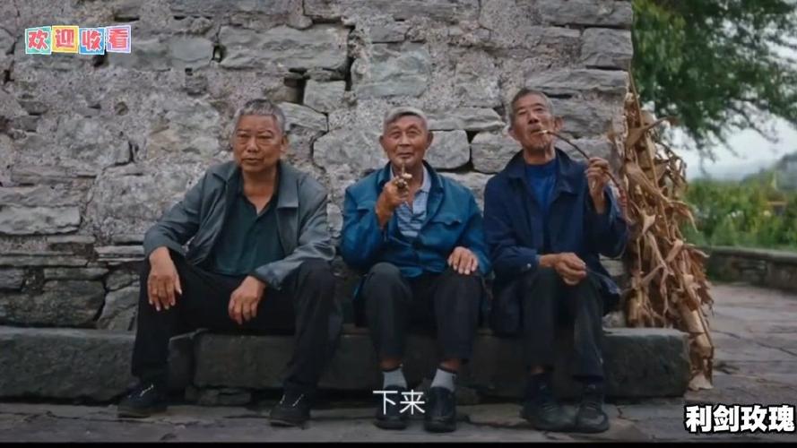 几个老头看戏电视剧