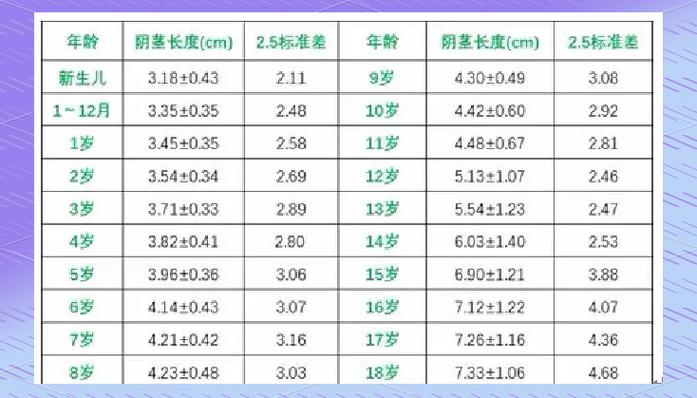 12岁鸡长到几厘米才算正常